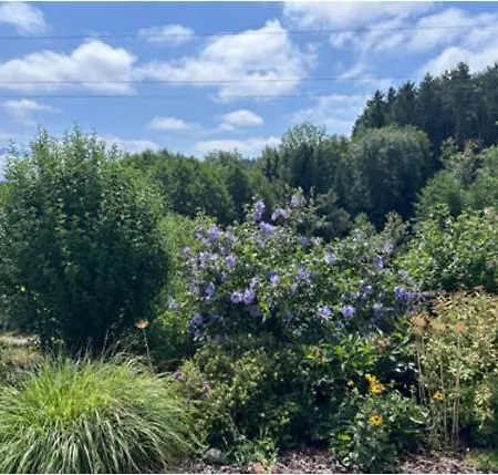 Ferienhaus Casa Vesielach - Mit überdachtem Pool Am Klopeinersee-turnersee-südkärnten *