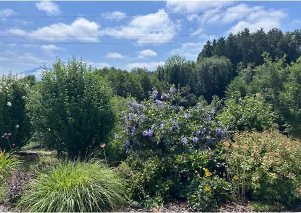 度假居 Casa Vesielach - Mit Ueberdachtem Pool Am Klopeinersee-turnersee-suedkaernten *